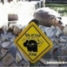 Funny Animals - Splatter Zone